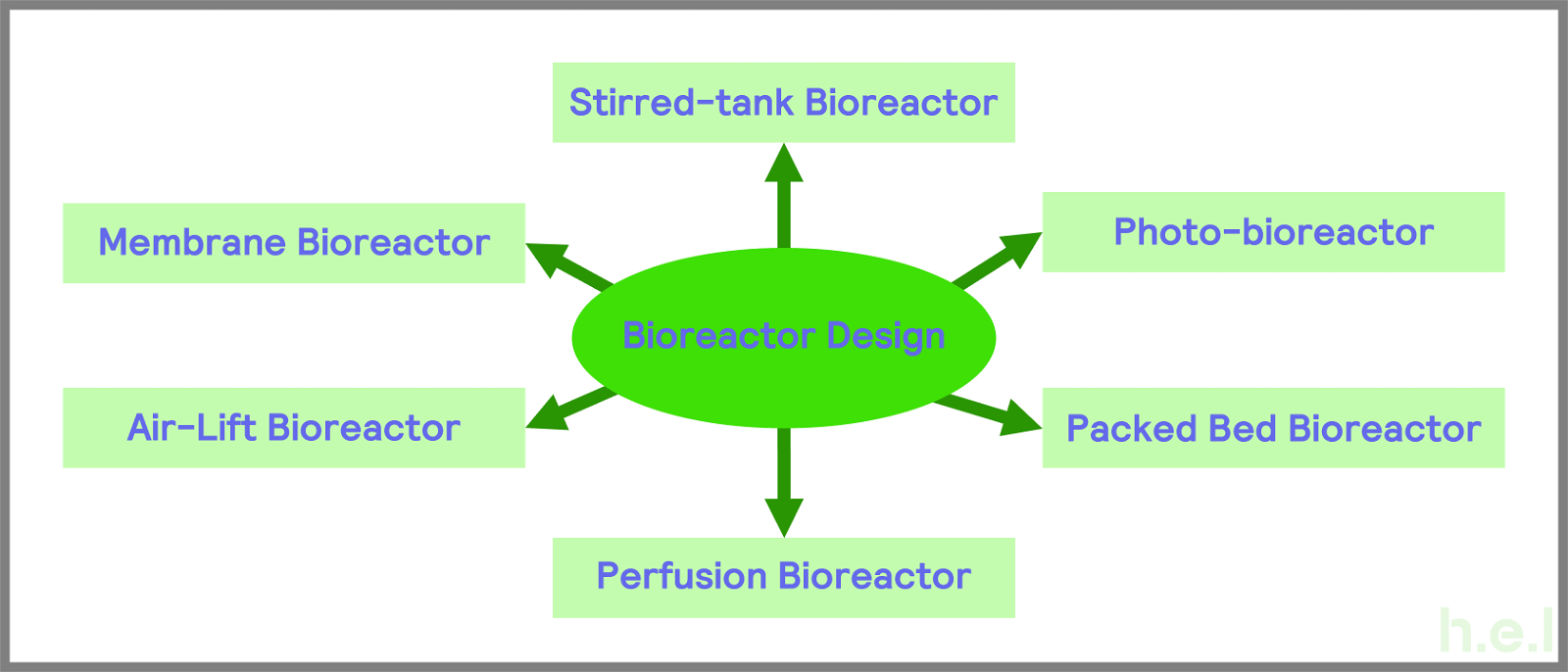 Different types of bioreactors graphic