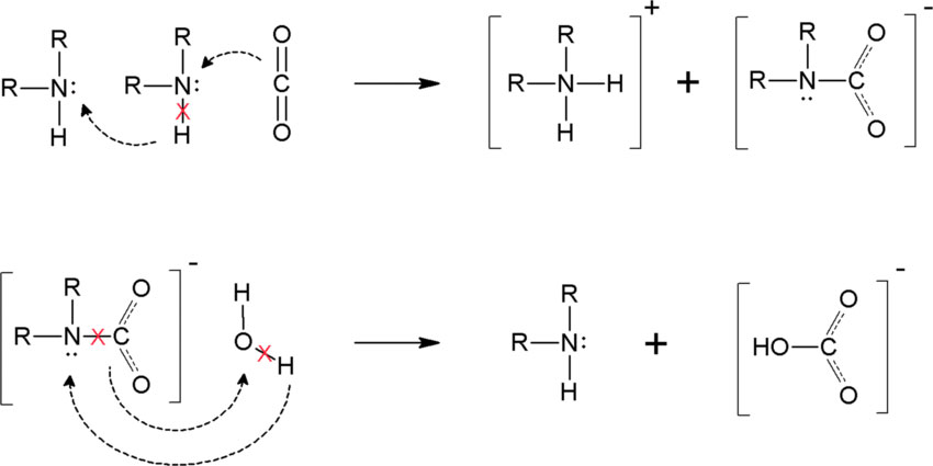 Figure 2. Chemical reaction steps involved in the absorption of CO2 in alkanoamines